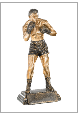 Trophée Boxe 52535