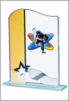 Trophée Verre Personnalisé 124-11-BJ