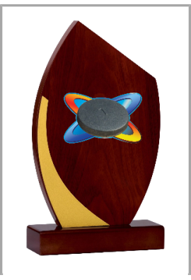 Trophée Bois Personnalisé 125-43-BJ