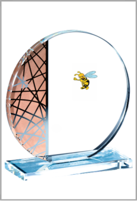 Trophée Verre Personnalisé 156-01-LO