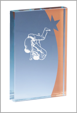 Trophée Verre Personnalisé 168-31-CLI