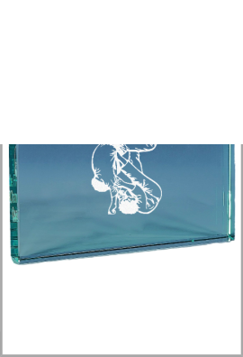 Trophée Verre Personnalisé 167-21-CLI