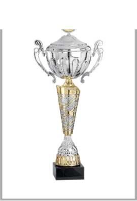 Coupe Personnalisée Métal : 4551W-C
