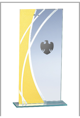 Trophée Verre Personnalisé 160-11-LO