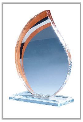 Trophée Verre Personnalisé 170-01-LO