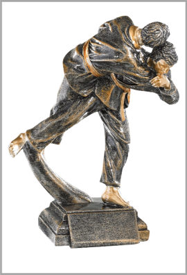 Trophée Judo 52529