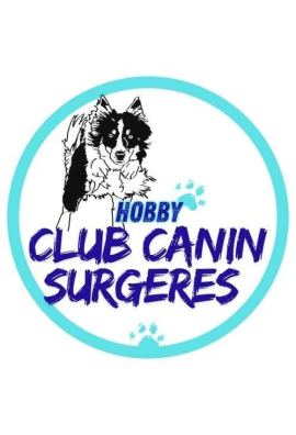 logo_4_357091