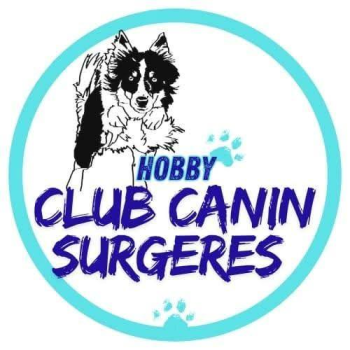 logo_4_357096