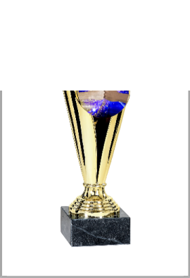 picture_320021_357363