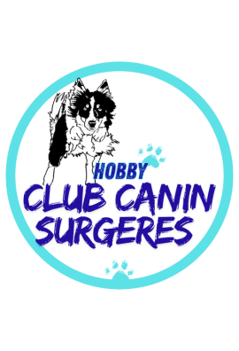 logo_4_358022