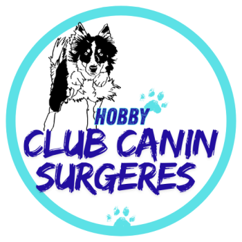 logo_4_358022