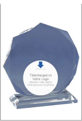 Trophée Acryglass Personnalisé 179-01-LO