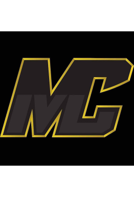 logo_4_359183