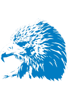 logo_4_359233