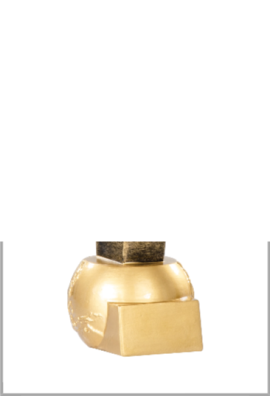 Trophée Natation 71520