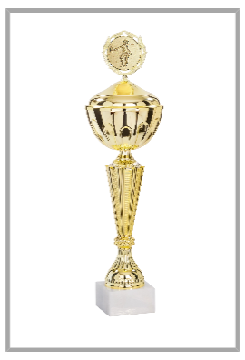 picture_320096_359561