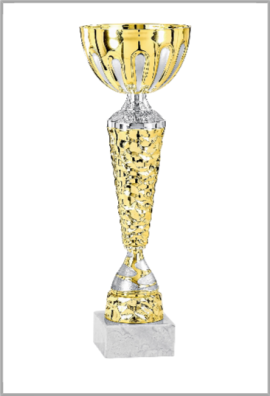 picture_320130_359869
