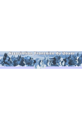 logo_4_360064