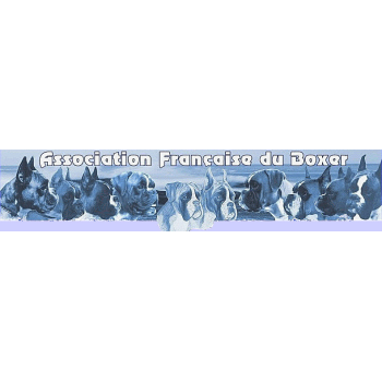 logo_4_360064
