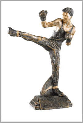 Trophée Boxe Française 52558