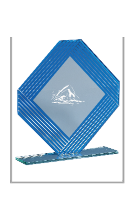 Trophée Verre Personnalisé 162-61-CLI
