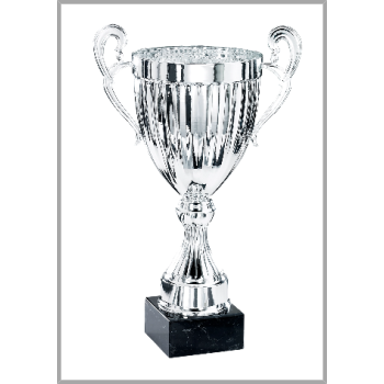 picture_320400_361008