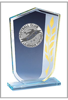 Trophée Verre Personnalisé 173-51-LO