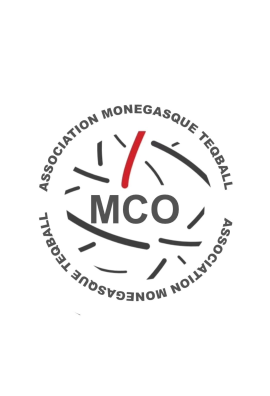 logo_4_361245