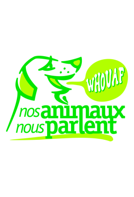 logo_4_361365