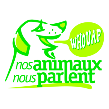 logo_4_361365