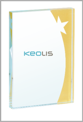 Trophée Verre Personnalisé 154-13-LO