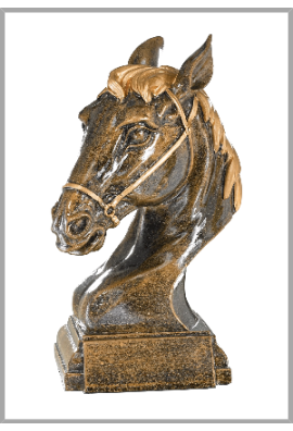 Trophée Équitation 20309
