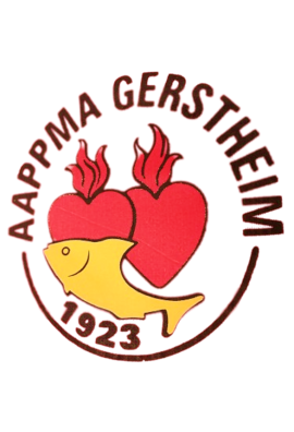 logo_4_362168