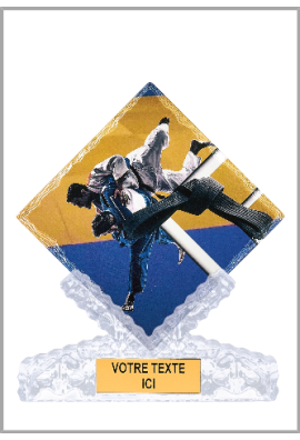 Trophée Judo 46114