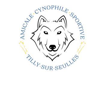 logo_4_362743