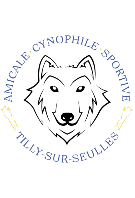 logo_4_362745