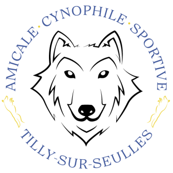 logo_4_362745