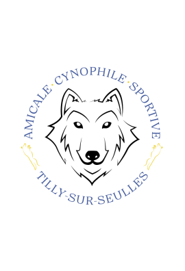 logo_4_362746