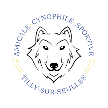 logo_4_362746