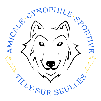 logo_4_362749