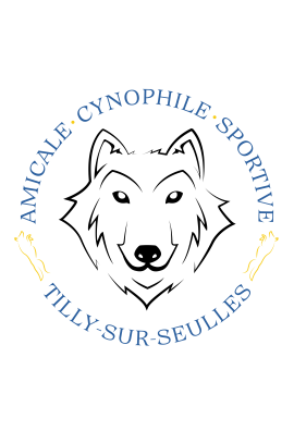 logo_4_362751