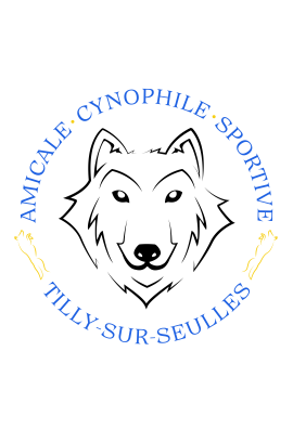 logo_4_362876