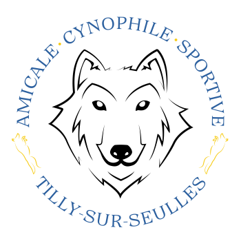 logo_4_362882