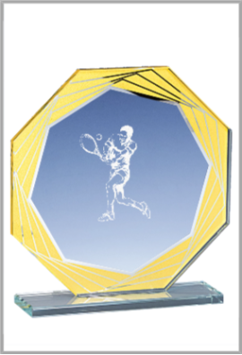 Trophée Verre Personnalisé 160-43-CLI