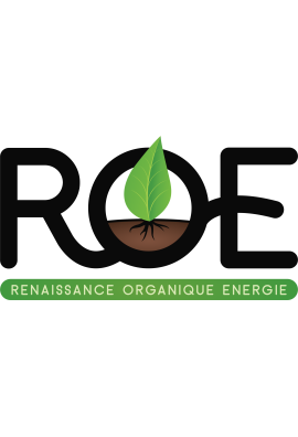 logo_4_363480