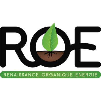logo_4_363482