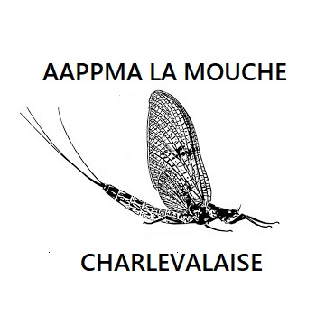 logo_4_363885
