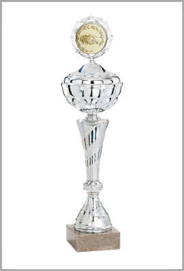 Coupe Personnalisée Métal : 2031W-C