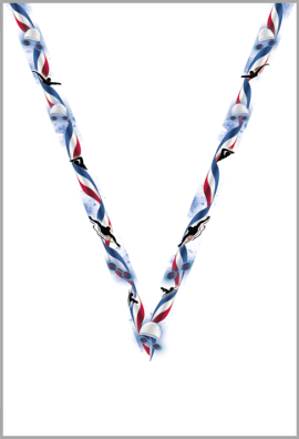Ruban Médaille  Natation  : 7076