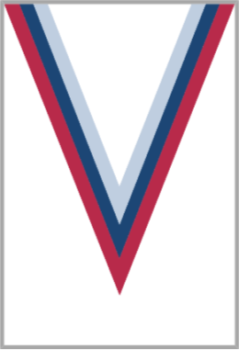 Ruban Médaille  Rouge/Bleu/Blanc : 6049
